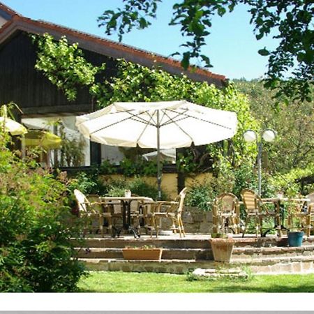 Hotel "Die Kupferpfanne" Donaustauf Exteriér fotografie
